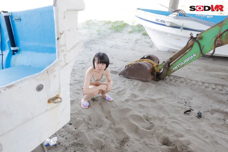 【VR】【高画質 追跡視点】海水浴場で見かけた家族と一緒にいる幸せな中学生を拉致して強制VR