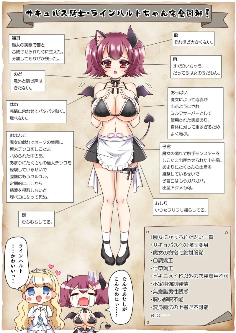 信じて送り出した騎士様がよわよわ爆乳サキュバスになって還ってくるなんて…