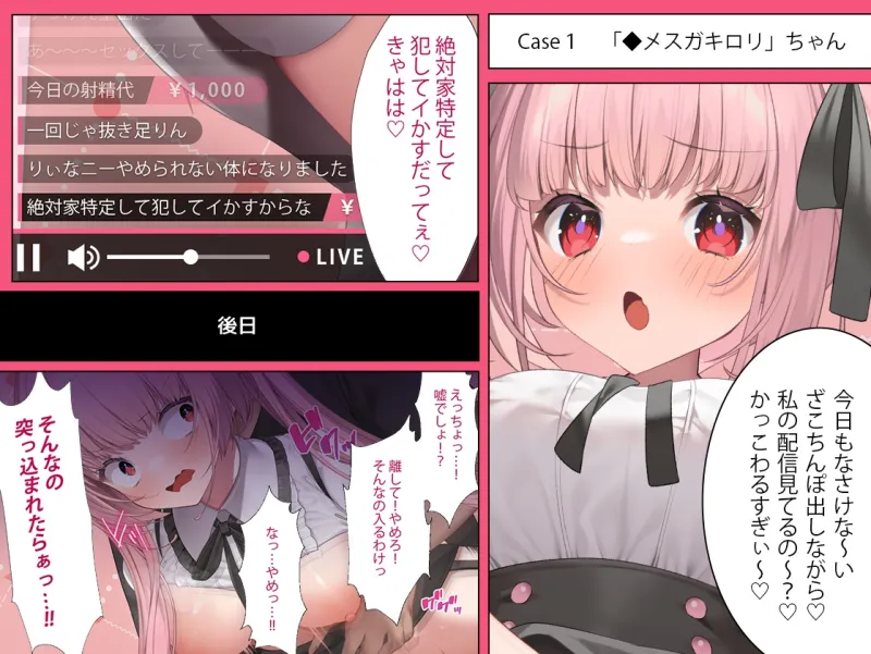 【40分以上の動画付きCG集!?】配信者のオシゴト【Live2Dアニメーション動画×音声入り】