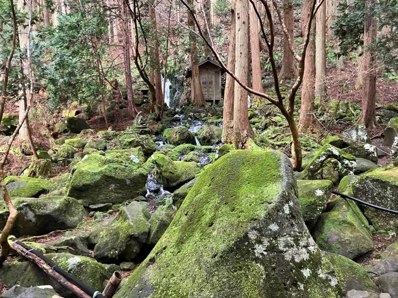 耳舐め＆耳ふーサンドイッチ 田舎の癒し ～山形県遊佐町音源～ 【耳恋なかさん＆そよかぜみらいさん/安眠特化/環境音現地収録】