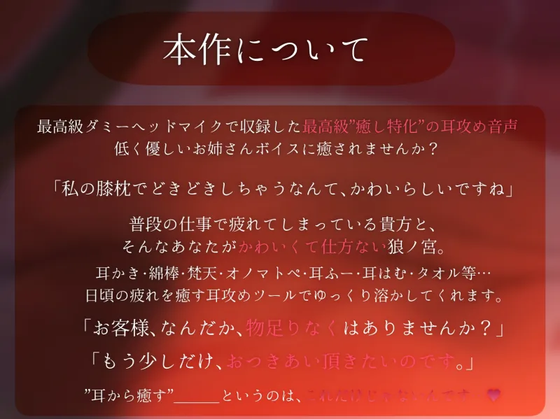 耳恋 低音女子にガチ恋不可避甘々ご奉仕耳奥攻め記録～ろのみやひなぎくのばあい～