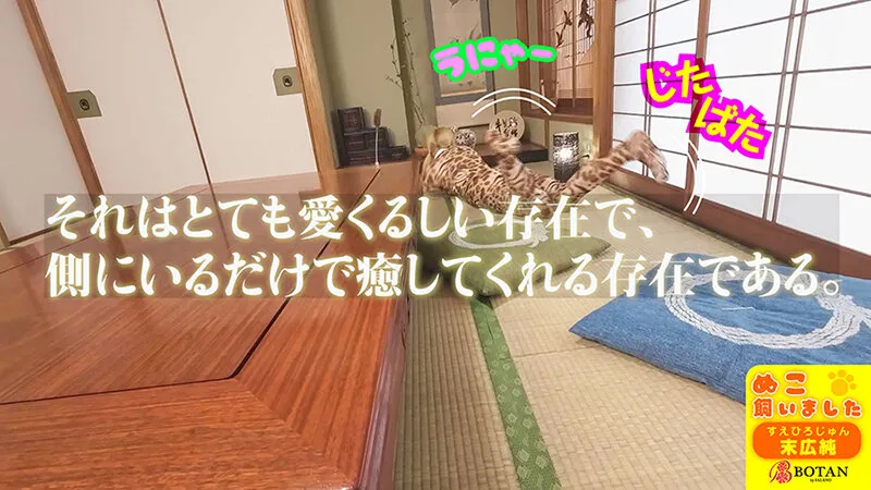 ねこ飼いました【POV】 末広純