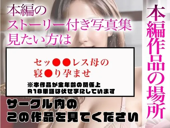 【超高画質グラビア写真集】セックスレス母の下着。最高の100枚～寝取り孕ませ編～