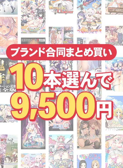 【まとめ買い】1,700作品以上から10本選んで9,500円！ブランド合同セット