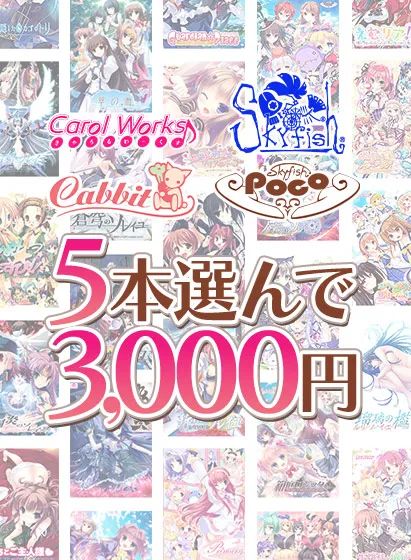 【まとめ買い】スカイフィッシュ＆Carol Worksブランド合同企画！5本選んで3,000円！