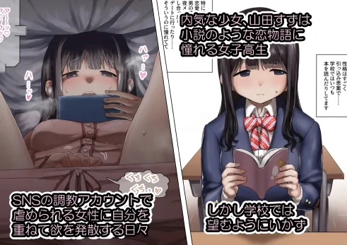 内気少女の一日調教記録 ～色堕、その一部始終～