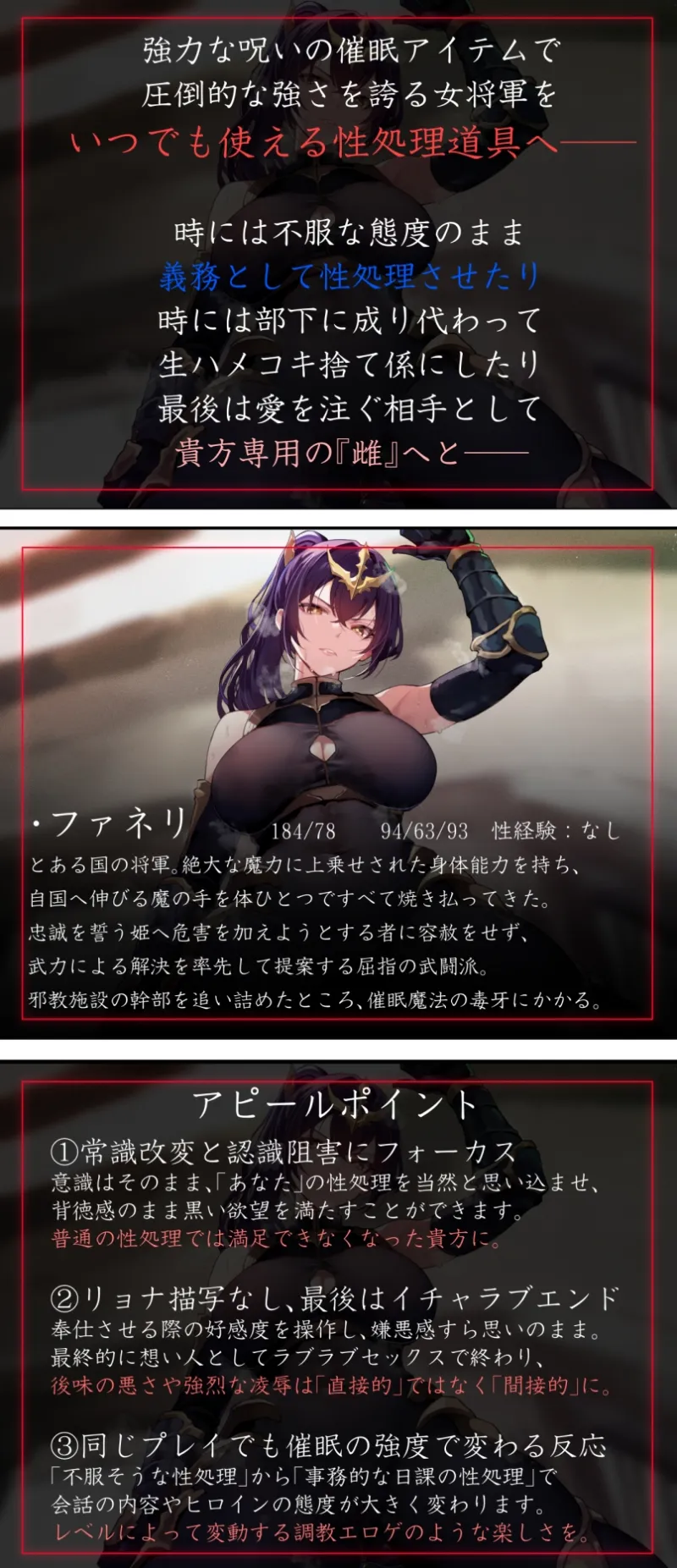 本文説明画像