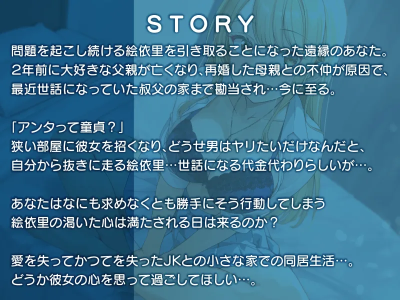 本文説明画像