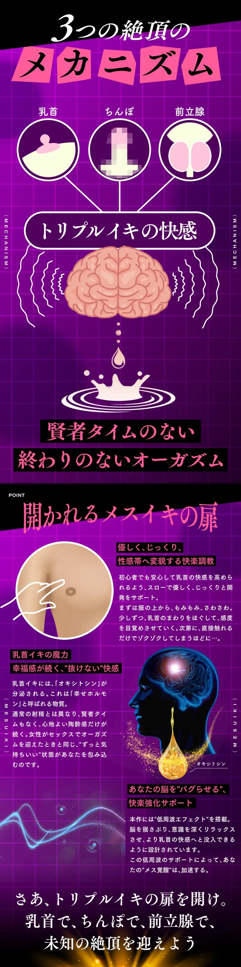 本文説明画像