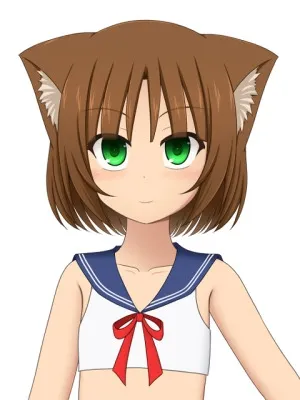 本文説明画像