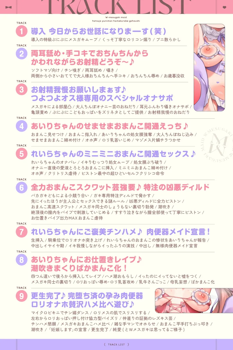 本文説明画像