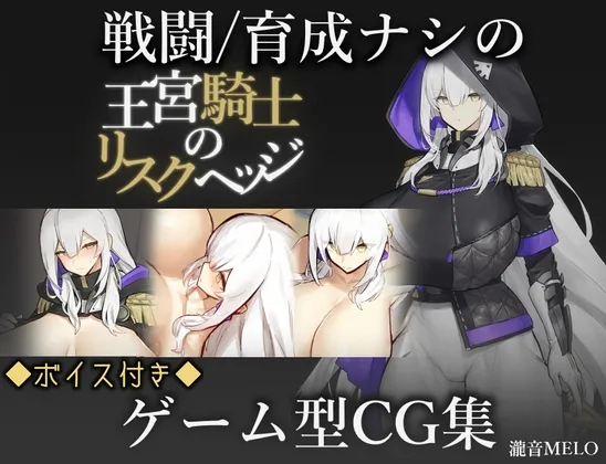 王宮騎士のリスクヘッジ 王宮騎士のリスクヘッジ