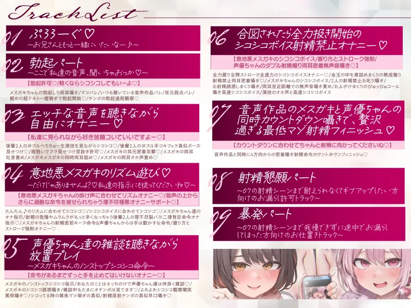 本文説明画像