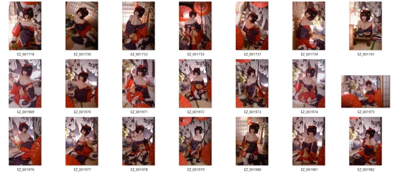 NO.001 Fate葛飾北斎　21P