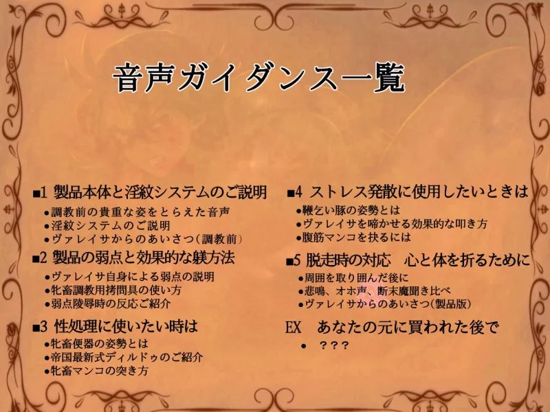 本文説明画像