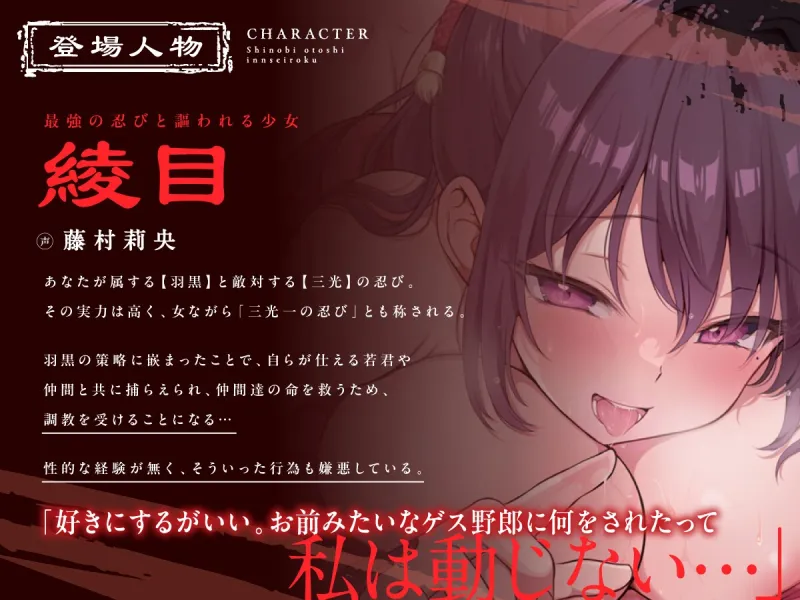 本文説明画像