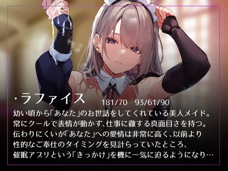 本文説明画像
