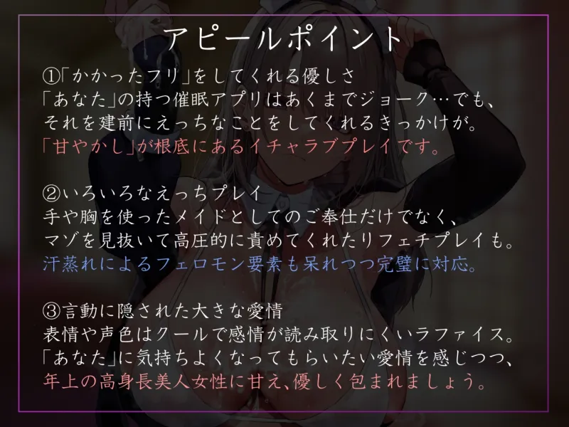 本文説明画像