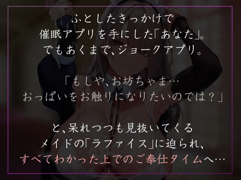 本文説明画像
