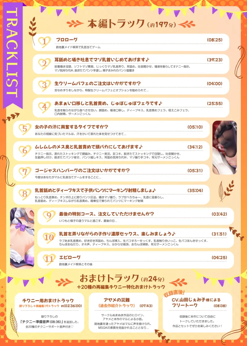 本文説明画像