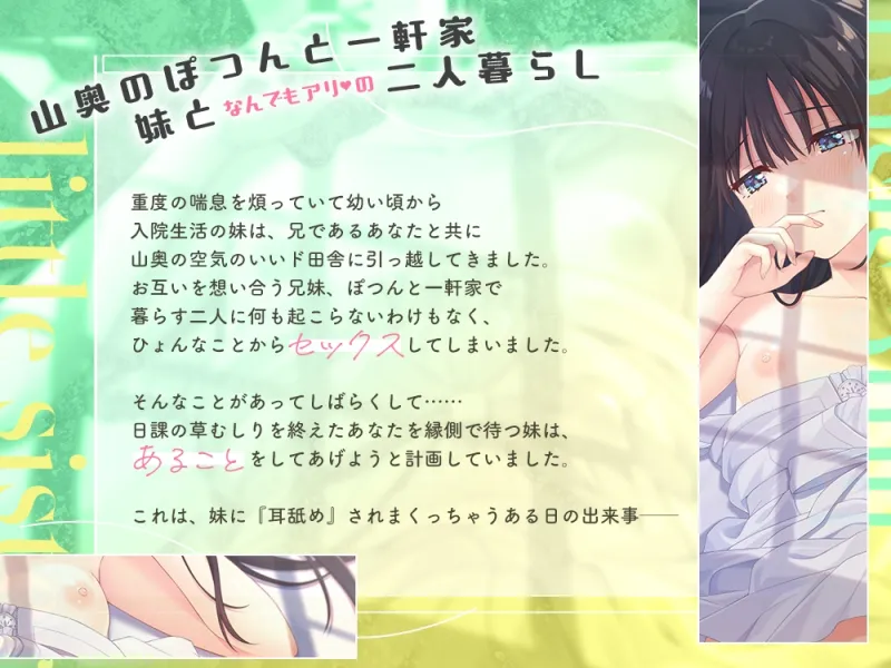 本文説明画像