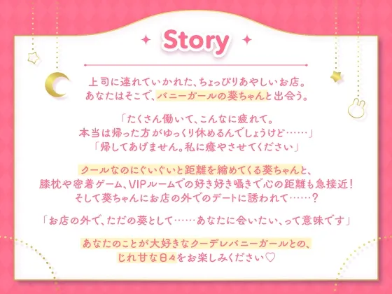 本文説明画像