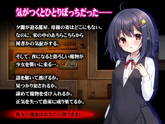 本文説明画像