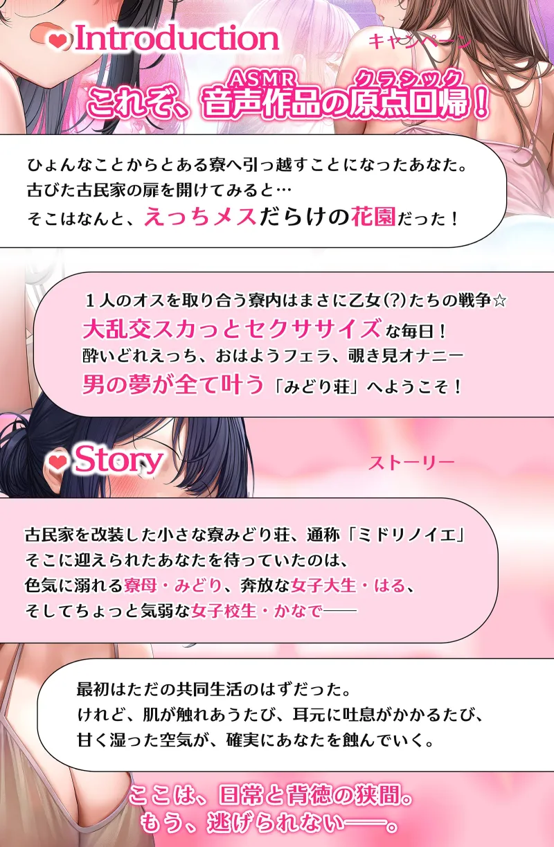 本文説明画像
