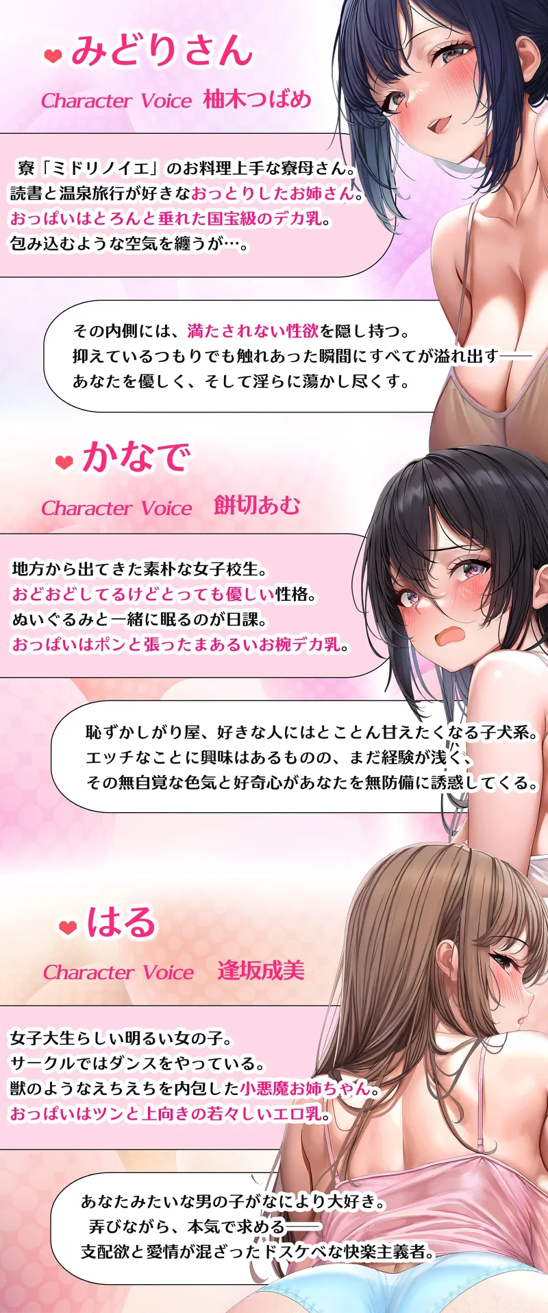 本文説明画像