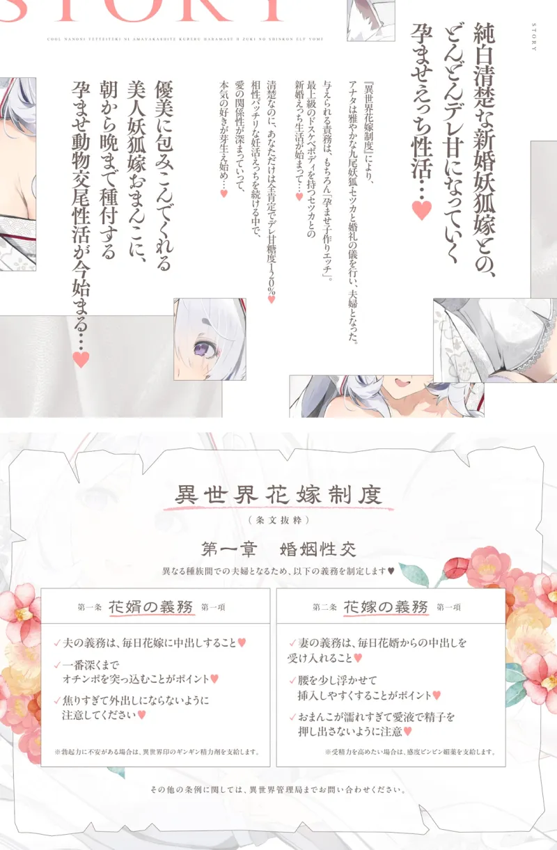 本文説明画像