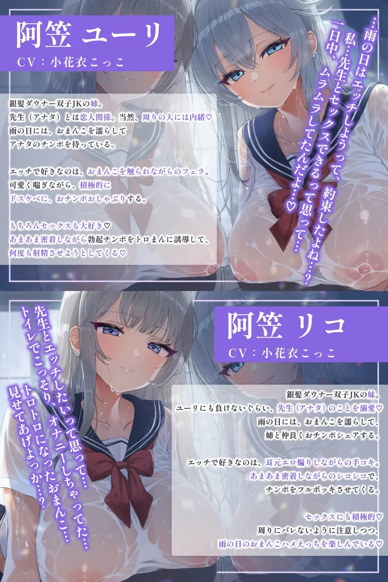 本文説明画像