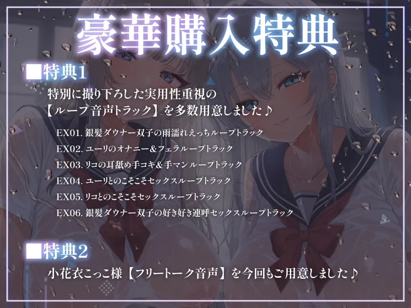 本文説明画像