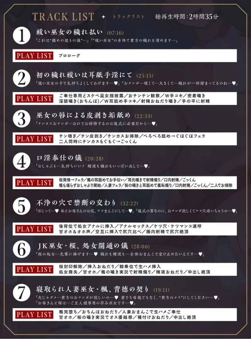 本文説明画像