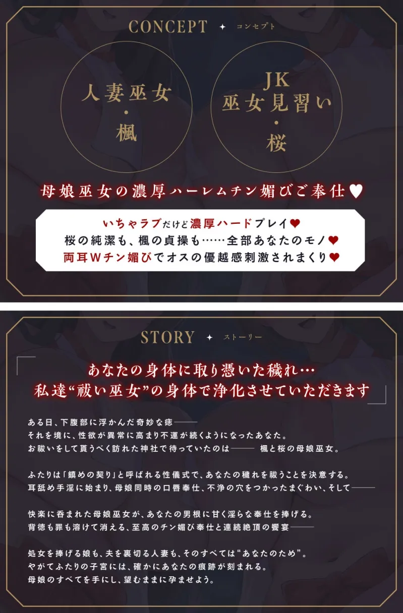 本文説明画像