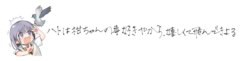 本文説明画像