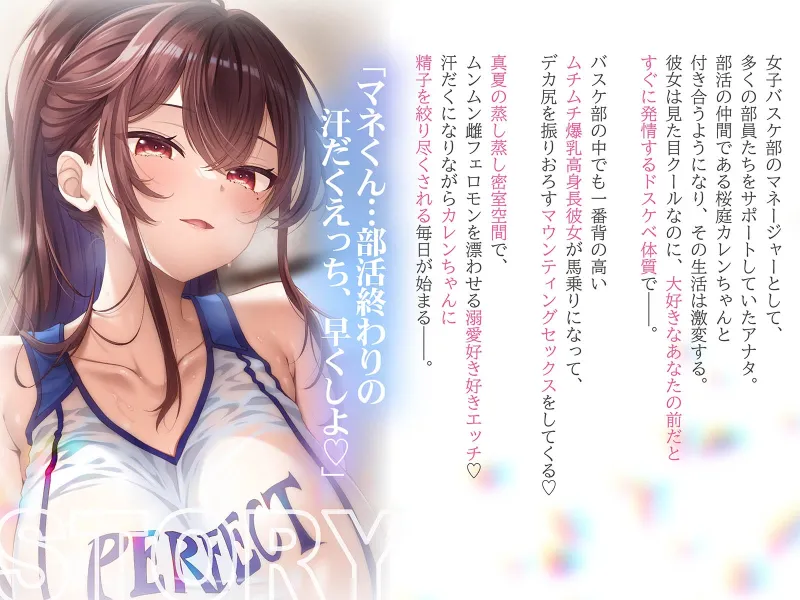 本文説明画像