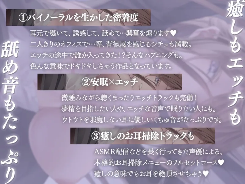 本文説明画像