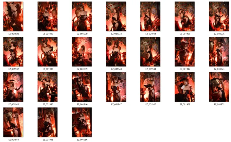 NO.004 Fate虞美人  24P