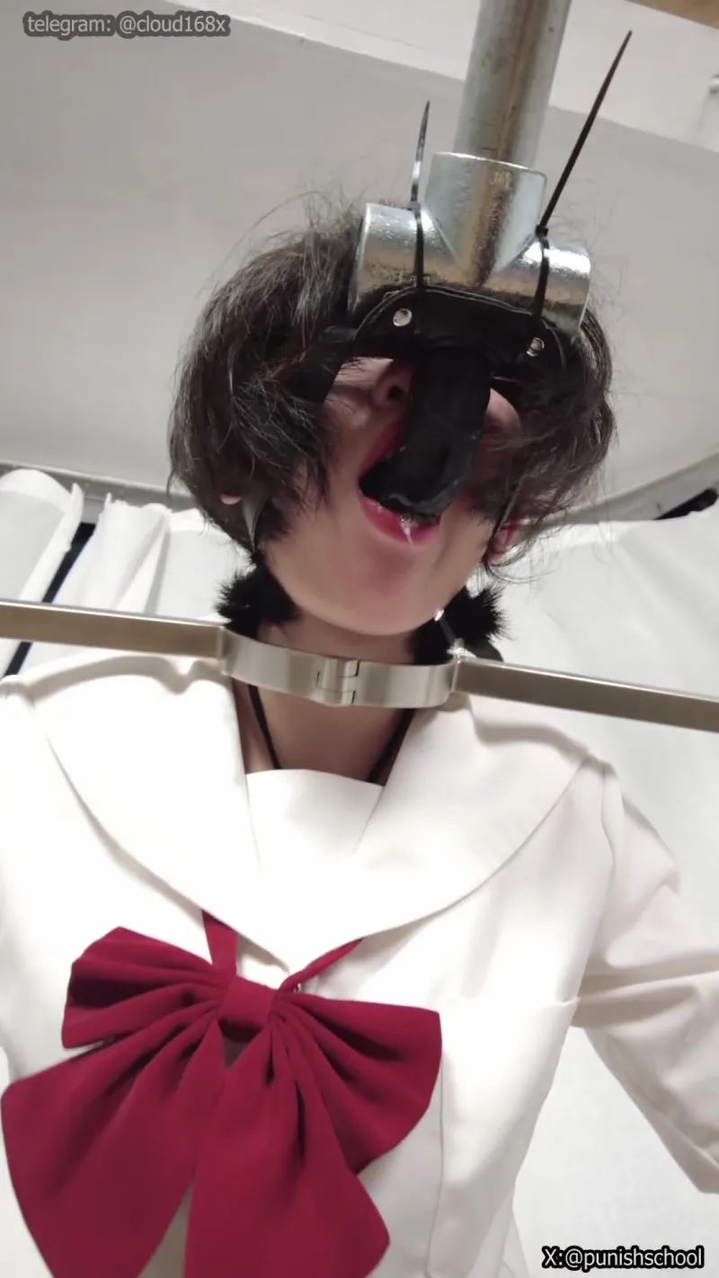【Punish Collegeゼミナール】学力向上の秘訣