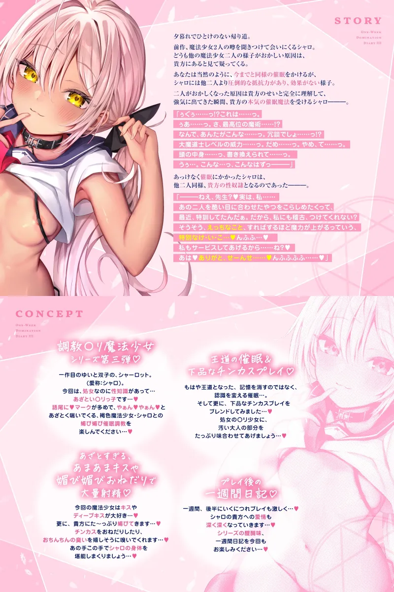 本文説明画像