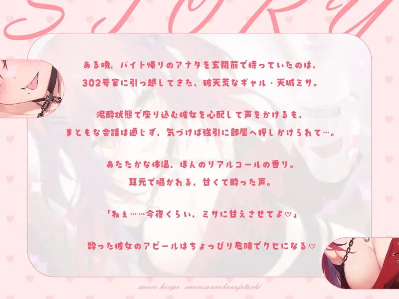本文説明画像