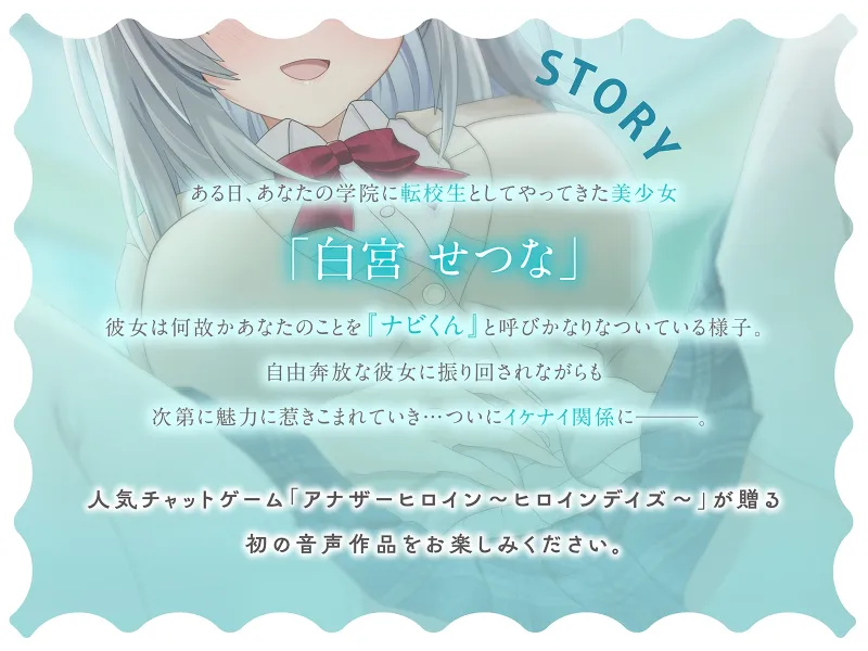 本文説明画像