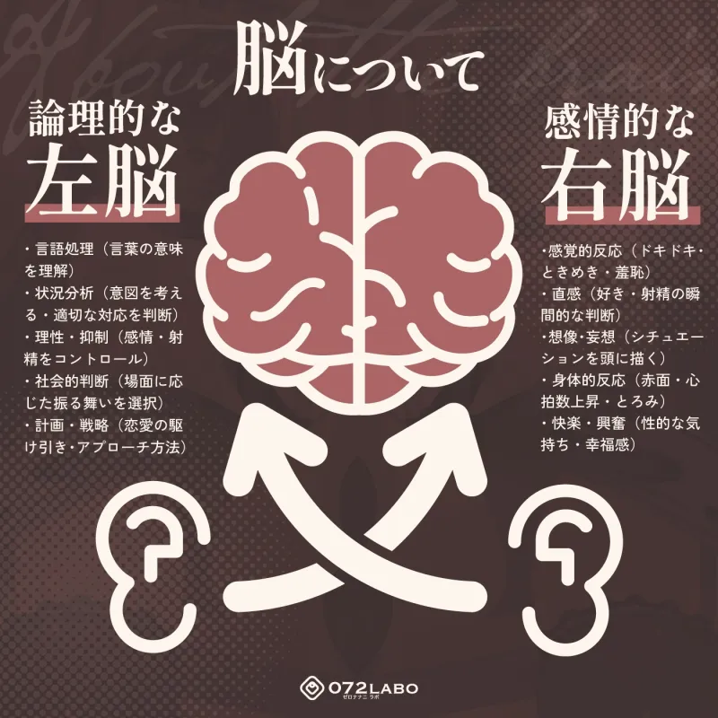 【脳バグ】命令の右耳とドスケベ本心が聞こえる左耳「右耳左耳右脳左脳」～とても厳しい射精管理官★低音ボイスお姉さんの本音～【射精管理官の本音】
