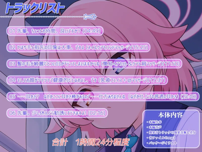 本文説明画像