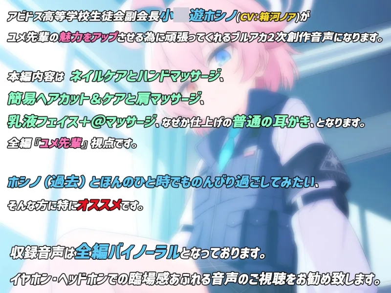 本文説明画像