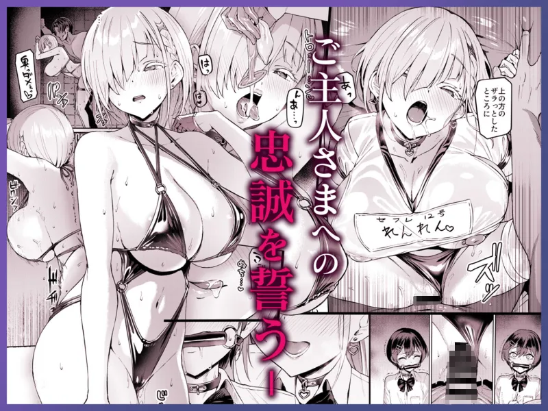 Vanishing Reality3 ～奏星嬌辱～