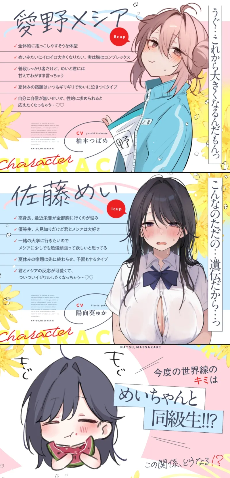 本文説明画像