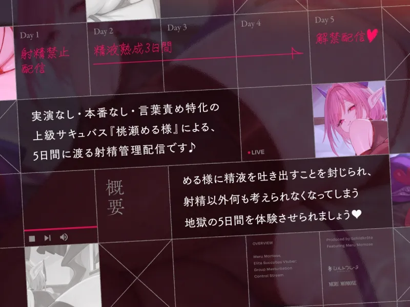 本文説明画像