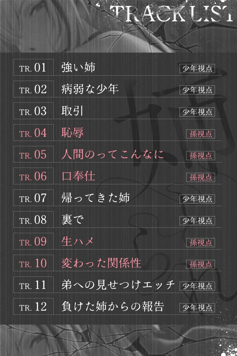 本文説明画像