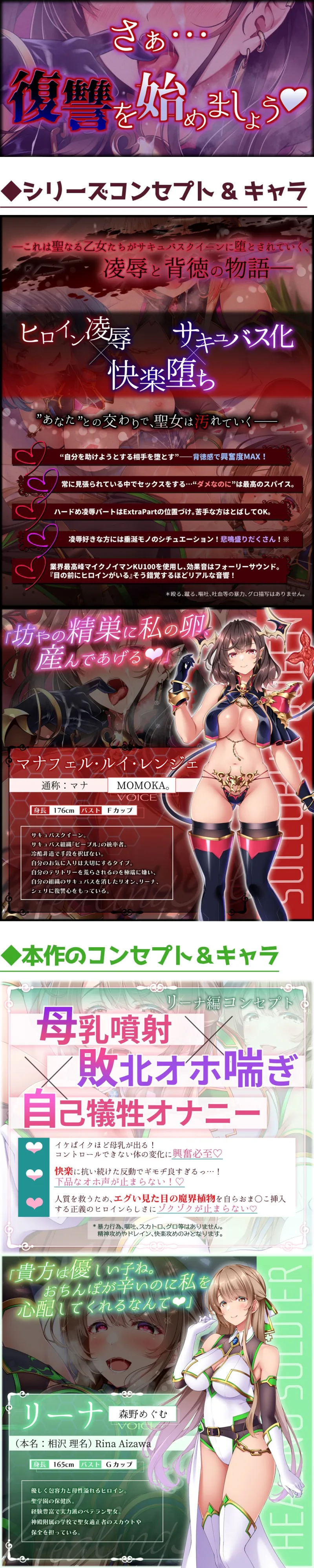 本文説明画像